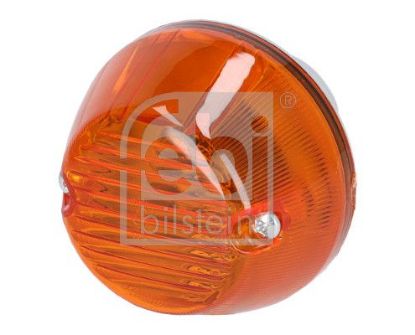 Direction Indicator M A N - 81.25320.6131