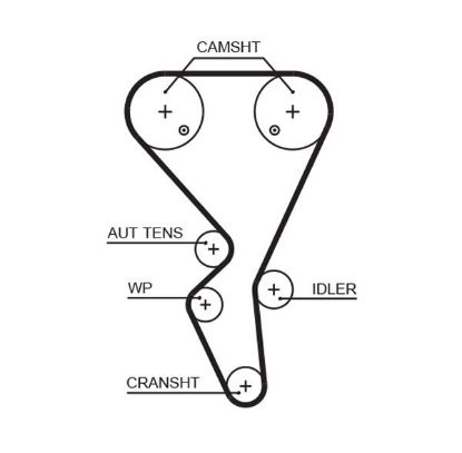 Timing Belt PSA - 98 293 047 80