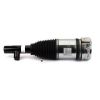 Air Suspension Strut Volvo XC90 14-