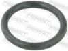 Gasket, coolant flange LADA 7703065311, NISSAN 2130600QAB, RENAULT 770306
