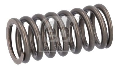 Valve Spring DAF 1813 104