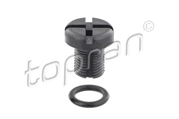 Breather Screw/VaIve, radiator BMW/MINI