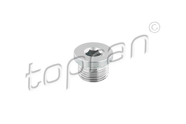 Screw Plug, oil sump BMW/Mini