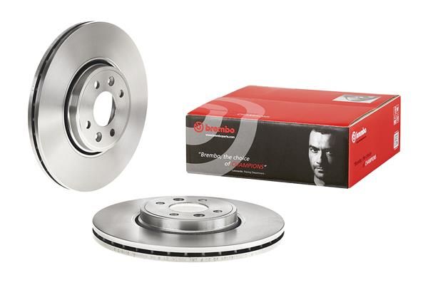 Brake Disc Renault Scenic