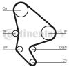Timing Belt Kit BERLINGO (MF), C5 (DC_)
