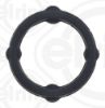 Gasket, oil sump GENERAL MOTORS - 55577121