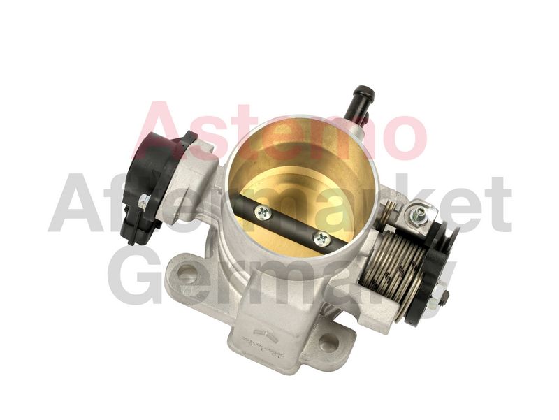 Throttle Body