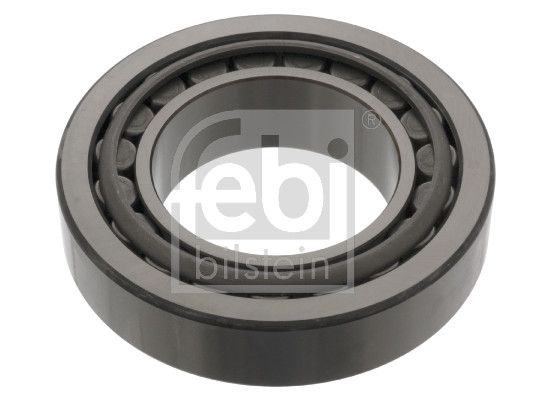 Wheel Bearing EVOBUS 6691161000
