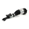 Air Suspension Strut Front Lt Eibach Air Strut - 13- MB S-Class/Maybac