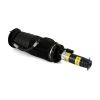 Air Suspension Strut MB S-Class (W220) 02-06 2153200513