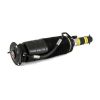 Air Suspension Strut MB S-Class (W220) 02-06 2153200513