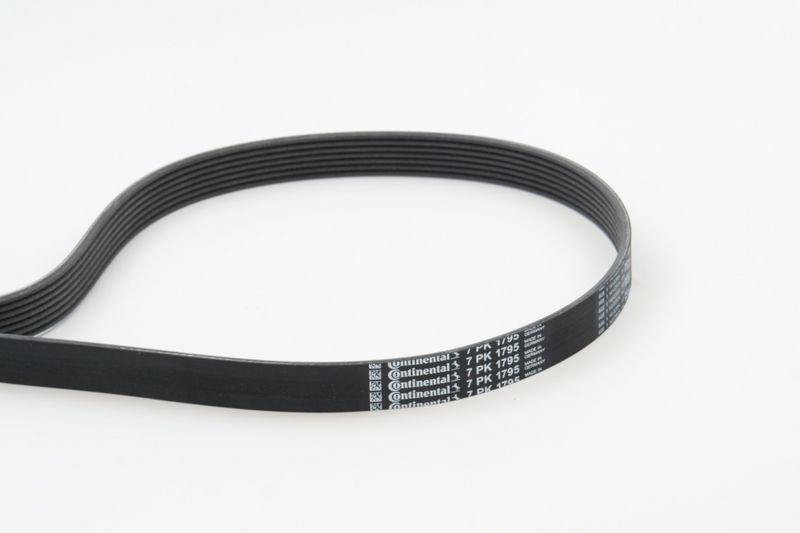 V-Ribbed Belt RENAULT - 11 72 079 44R