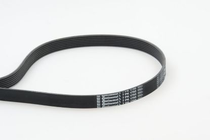 V-Ribbed Belt RENAULT - 11 72 079 44R