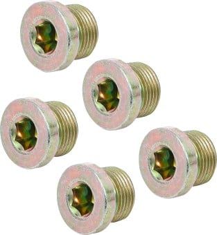Repair Kit, oil drain plug thread M20x1.5 Drain Plug, 5 pcs., for BGS 126
