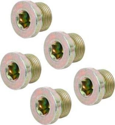 Repair Kit, oil drain plug thread M20x1.5 Drain Plug, 5 pcs., for BGS 126