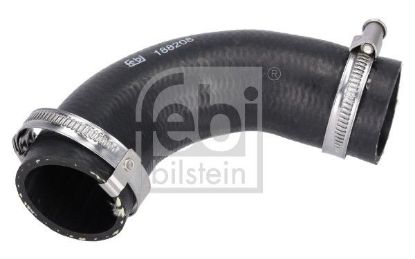 Charger Air Hose Ford - 1 496 238 SK