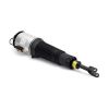 Air Suspension Strut 04-06 VW Phaeton