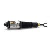 Air Suspension Strut 04-06 VW Phaeton