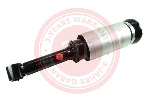 Air Suspension Strut RNB501470