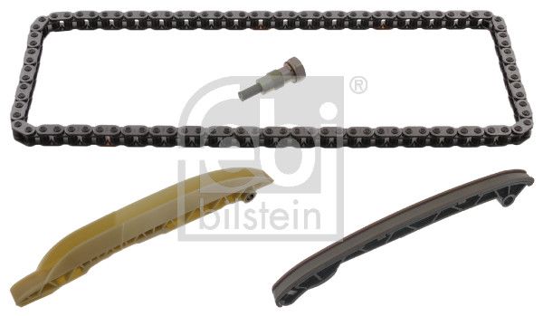 Timing Chain Kit Ford Pkw 1 701 389 S1