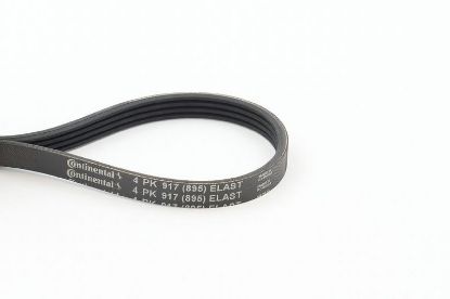 V-Ribbed Belt BMW - 11 28 6 550 645