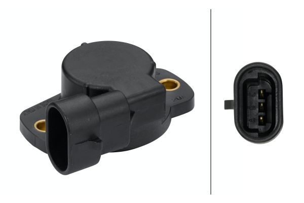 Sensor, throttle position