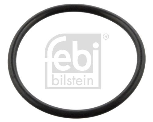 Seal Ring BMW 33 20 4 079 773