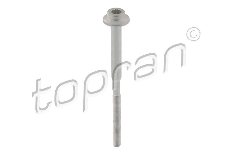 Screw, Injection nozzle holder
