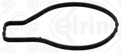 Gasket, water pump Toyota