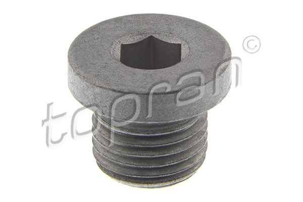 Screw Plug, oil sump VAG - N   016 024 1