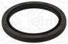 Shaft Seal, camshaft VOLVO - 31339798