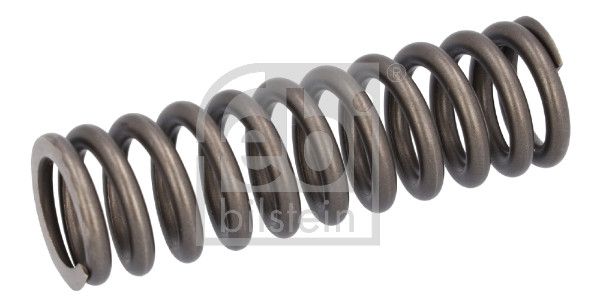 Valve Spring Scania 2 769 870