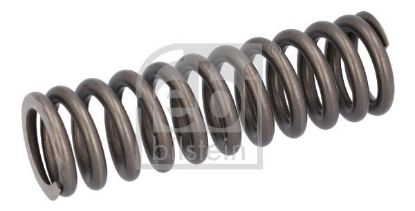 Valve Spring Scania 2 769 870