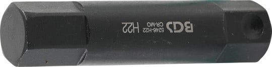 Screwdriver Bit Int. Hex. Bit, 100 mm long, 22 mm, 22 mm hex.