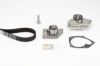 Water Pump & Timing Belt Kit NISSAN, RENAULT 1.9 dCi 80