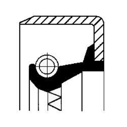 Shaft Seal, manual transmission Iveco 7981329