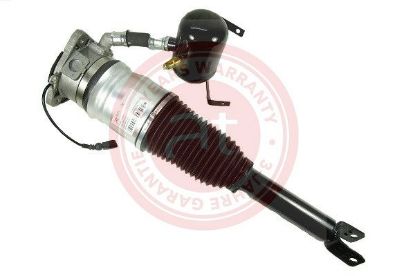 Air Suspension Strut VAG A8 (4E) (2002 - 2010), A8 (4H) (2009 - )