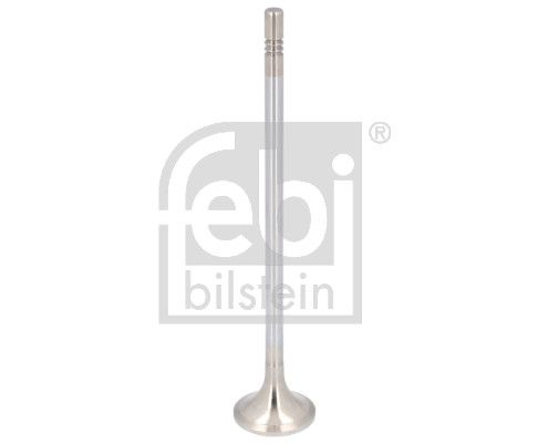 Exhaust Valve RENAULT LKW (RVI) 74 20 564 020