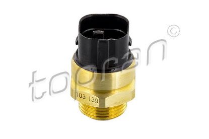 Temperature Switch, radiator fan VAG, Ford