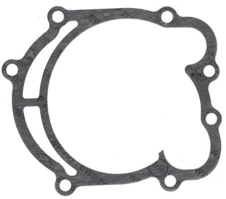 Gasket, water pump DAIMLER PKW