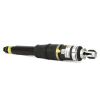 Air Suspension Strut 00-14 Various GM SUVs