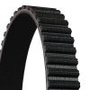 Timing Belt CT931