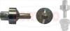 Socket Wrench Insert, oil drain plug Socket, oil drain plug - VAG - T10549