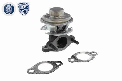 Valve, exhaust gas recirculation HYUNDAI 28410-4X410