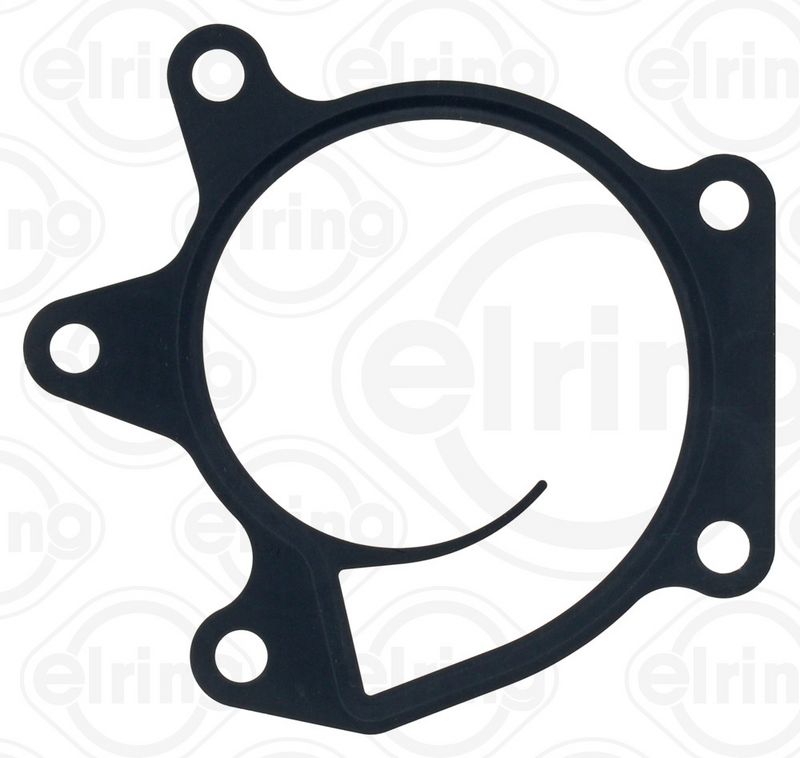 Gasket, water pump Nissan