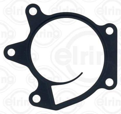 Gasket, water pump Nissan