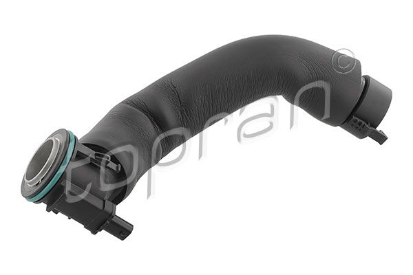 Hose, cylinder head cover ventilation BMW/MINI