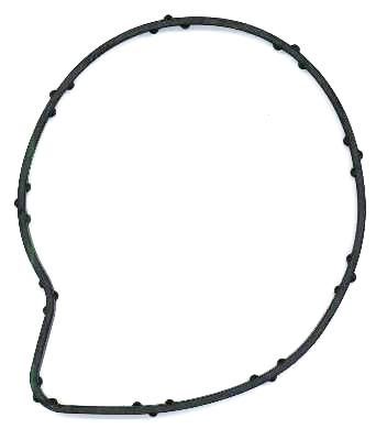 Gasket, water pump DAIMLER PKW