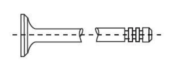 Intake Valve Inlet Valve