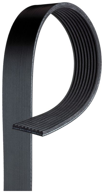 V-Ribbed Belt